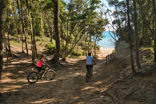 bici-pineta-toscana-bike-tour_DSC03041