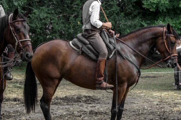 butteri-cavallo-adventure-experence-maremma