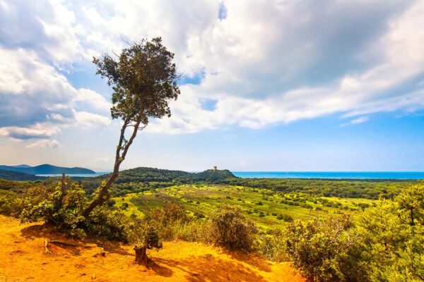 Maremma Natural Park