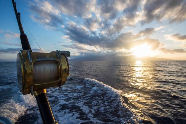 fish-hunting-experience