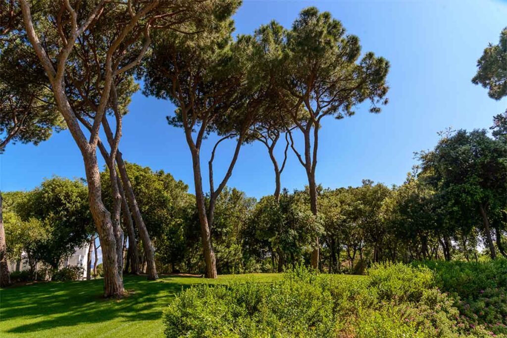 the-sense-eco-hotel-toscana-mare-13 The Sense Resort Eco Hotel