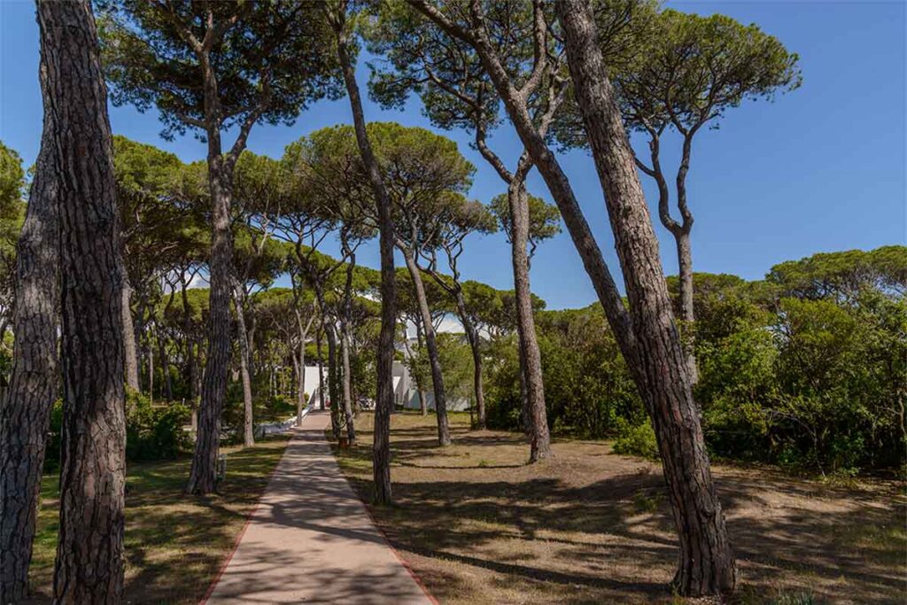 the-sense-eco-hotel-toscana-mare-15 The Sense Resort Eco Hotel