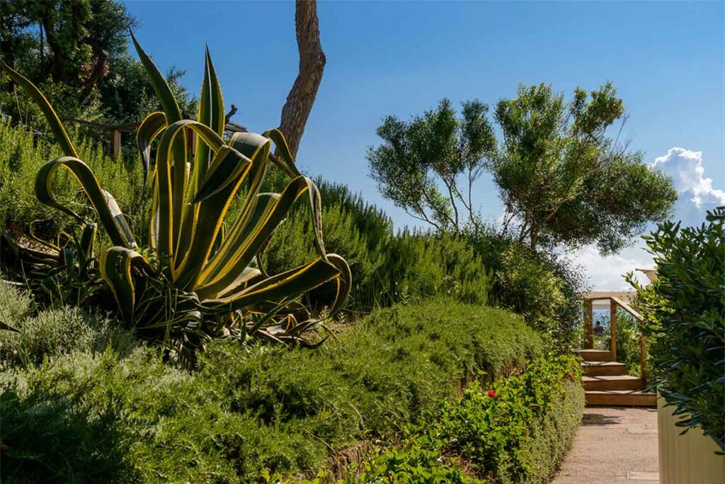 the-sense-eco-hotel-toscana-mare-8 The Sense Resort Eco Hotel