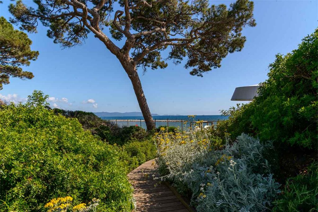 the-sense-eco-hotel-toscana-mare-9 The Sense Resort Eco Hotel